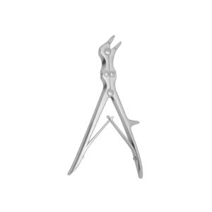 Bone Ronguer Angular