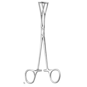 Lovelace Tissue and Organ Holding Forceps